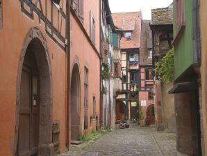 Apartment Schönes Appartement in Riquewihr - Riquewihr - image1