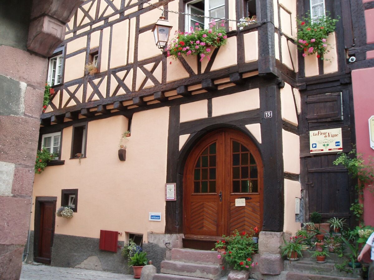 Apartment Riquewihr Außenaufnahme 6