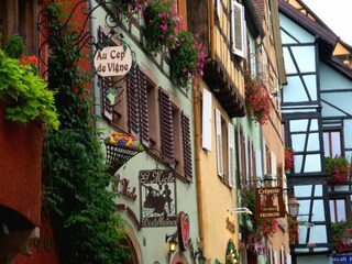 Appartamento Riquewihr Ambiente 26