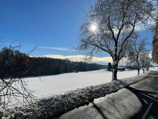 Ferienhaus Illtal Außenaufnahme 6
