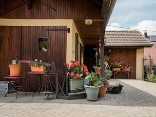 Ferienhaus Illtal Außenaufnahme 8