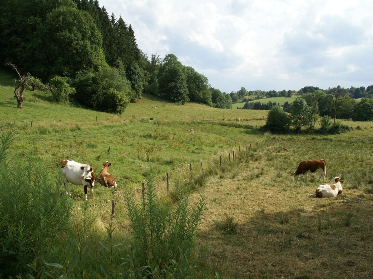 Ferienhaus Beulotte-Saint-Laurent Außenaufnahme 4