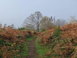 Ferienhaus Beulotte-Saint-Laurent Umgebung 19