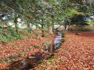 Ferienhaus Beulotte-Saint-Laurent Umgebung 27
