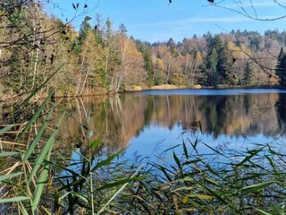 Holiday house Beulotte-Saint-Laurent Environment 18