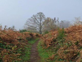 Casa de vacaciones Beulotte-Saint-Laurent Entorno 19