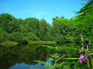 Holiday house Beulotte-Saint-Laurent Environment 21