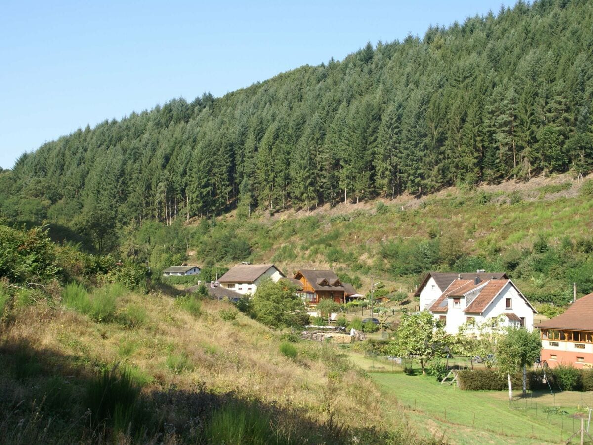 Ferienhaus Beulotte-Saint-Laurent Umgebung 21