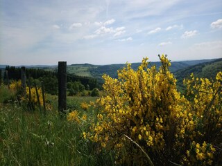 Casa per le vacanze Beulotte-Saint-Laurent Ambiente 25