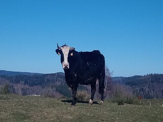 Casa per le vacanze Beulotte-Saint-Laurent  36