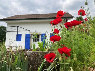 Casa per le vacanze Beulotte-Saint-Laurent  38