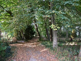 Casa de campo Monétay-sur-Loire Grabación al aire libre 9