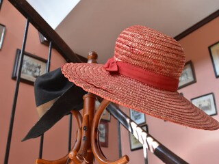 Vakantiehuisje Monétay-sur-Loire  37