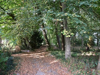 Casa de campo Monétay-sur-Loire Grabación al aire libre 10
