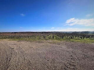 Vakantiehuis Mittelfrankreich Omgeving 34