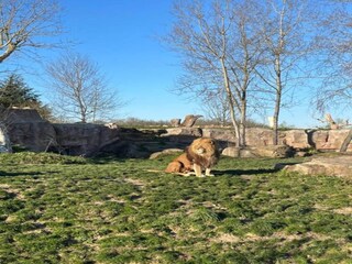 Casa de vacaciones Mittelfrankreich Entorno 26