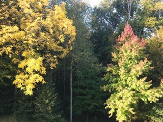 Casa per le vacanze Mittelfrankreich Ambiente 35