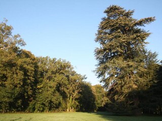 Maison de vacances Mittelfrankreich Environnement 35