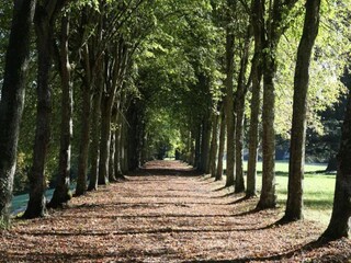 Vakantiehuis Mittelfrankreich Omgeving 37