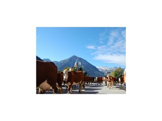 Appartement Champagny-en-Vanoise Omgeving 23