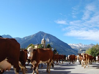 Chalet Champagny-en-Vanoise Omgeving 18