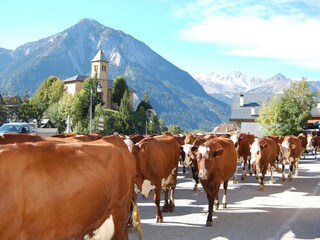 Chalet Champagny-en-Vanoise Umgebung 27