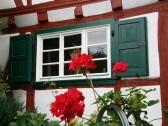 Red,green,white - the colors of the eco-timbered house