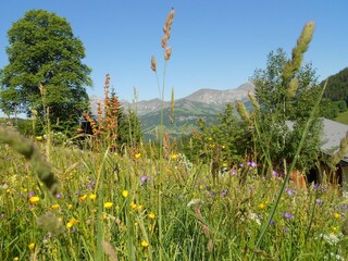 Chalet Notre-Dame-de-Bellecombe Buitenaudio-opname 2
