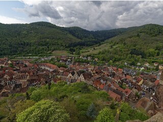 Holiday apartment Kaysersberg Features 13