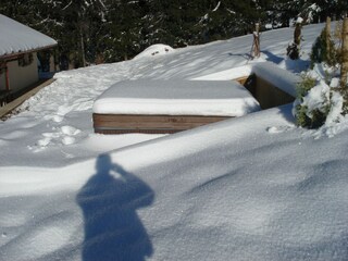 Chalet Les Gets  36