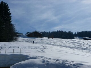 Chalet Les Gets Außenaufnahme 10