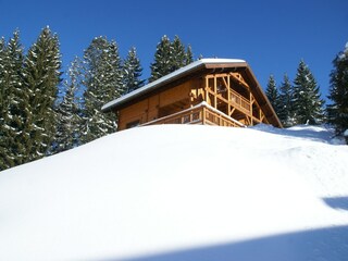 Chalet Les Gets Außenaufnahme 11