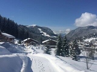 Chalet Les Gets Außenaufnahme 8