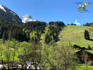 Chalet Les Gets Environnement 24