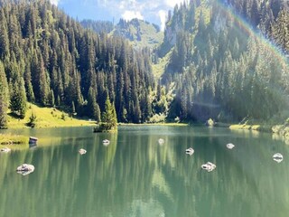 Chalet Les Gets Entorno 35