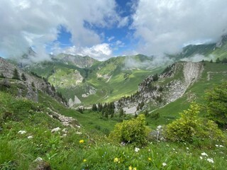 Chalet Les Gets Entorno 42