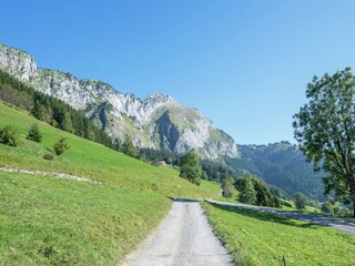 Chalet Abondance Environnement 28