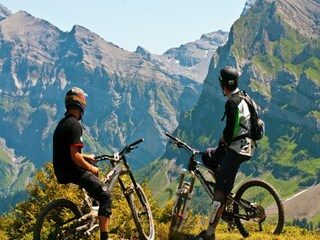 Appartement La Chapelle-d'Abondance Environnement 30
