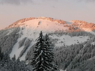 Chalet Châtel Environment 34