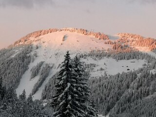 Chalet Châtel Omgeving 34