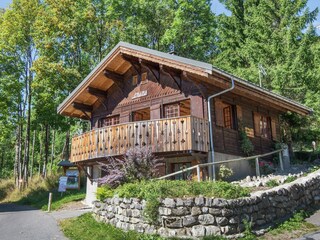 Chalet Châtel Buitenaudio-opname 7