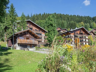 Chalet Châtel Outdoor Recording 4