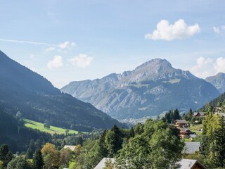 Chalet Châtel Environnement 29