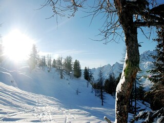 Chalet Les Houches Environment 21