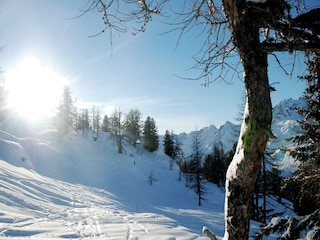 Chalet Les Houches Umgebung 21
