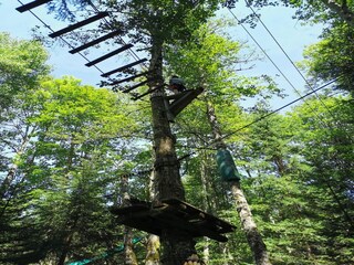 Chalet Saint-Jean-d'Aulps Environnement 34