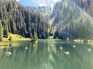 Chalet Saint-Jean-d'Aulps Umgebung 38