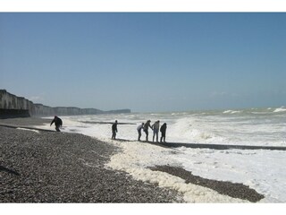 Maison de vacances Saint-Pierre-le-Vieux Environnement 32
