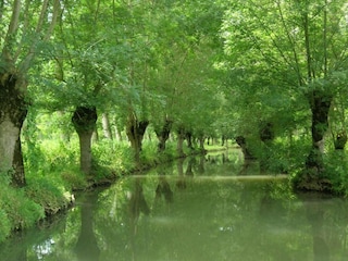 Vakantiehuis Saint-Pierre-le-Vieux Omgeving 31