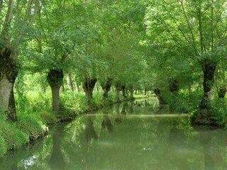 Vakantiehuis Saint-Pierre-le-Vieux Omgeving 35